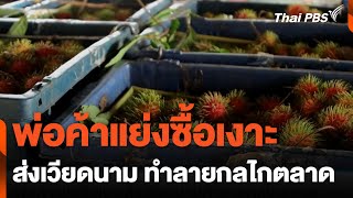 พ่อค้าแย่งซื้อเงาะ ส่งเวียดนาม ทำลายกลไกตลาด | วันใหม่ไทยพีบีเอส | 25 เม.ย. 67