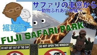 『富士サファリパーク（サファリの車窓から）』静岡県裾野市@Park Channel