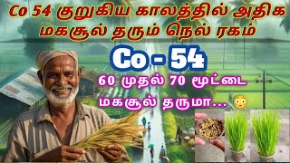 🌾CO - 54 நெல் சாகுபடியில் அதிகம் லாபம் தரும் நெல் ரகம் | New Paddy Seeds Cultivation | #tamil #seed