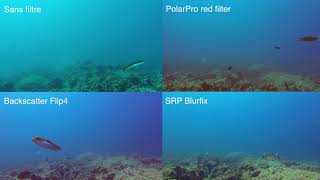 Comparatif filtres rouges de plongée pour GoPro