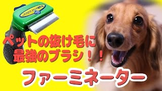 ペットの抜け毛にこれ一本！！ペット用ブラシ/ファーミネーター