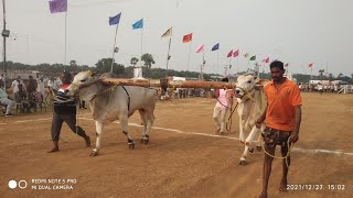 కొప్పురావురు ఎడ్ల పందెం-2021  4పళ్ళలో 2వ జత నూకవరపు శంకర్రావు, తక్కెళ్ళపాడు