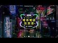 🎧全中文dj舞曲夜店混音舞曲串烧 2025🎵 酒吧最火dj舞曲🎵chinese dj remix 🎵 hot tiktok douyin dj 抖音版2025