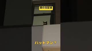 闇の世界から現れた猫#shorts #バットマン #闇