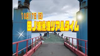 10月17日(日)和歌山釣果【田ノ浦漁港】リアルタイム情報　フィッシングマックス和歌山インター店