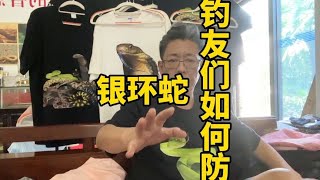 钓友们如何防范银环蛇，该注意哪些？银环蛇不可怕