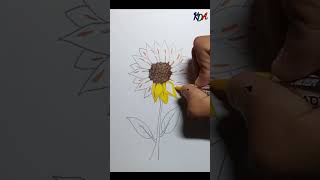 Sunflower drawing a step by step | kids drawing art #shorts #sunflower
