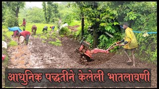 | कोकणात आधुनिक पद्धतीने केलेली भातलावणी | Poladpur Raigad | Kokan Vlog |