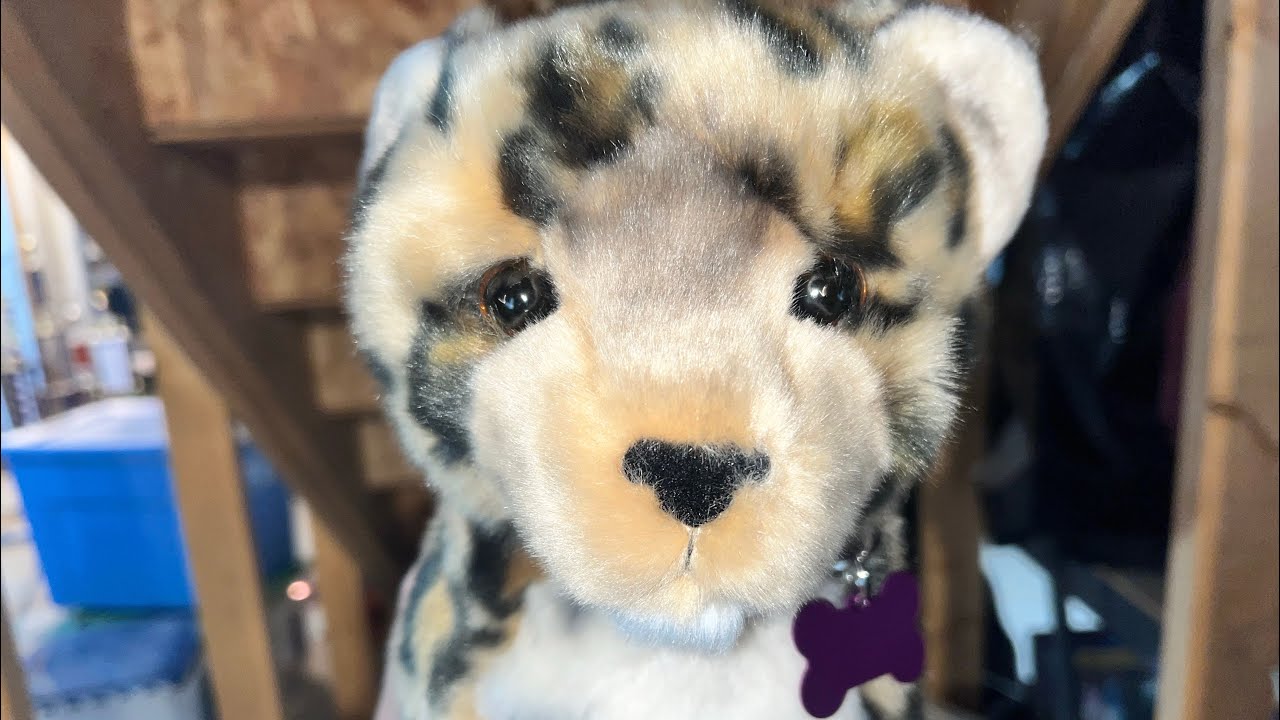 Unboxing The Douglas Spatter Leopard Cub Youtube