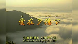 爱在夕阳下 I  国語  I  流行金曲  I  伴奏  I   KTV I KARAOKE版