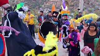 DANZA DE LOS CHINELOS DE [SAN JUAN POTOICHAN] EN LA COLONIA GUADALUPE, OCOTEQUILA GRO.