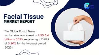 Facial Tissue Market Report 2024 (Global Edition)