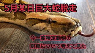 5月某日大蛇脱走！今一度特定動物の飼育を考えて見た！350センチの大蛇とは？