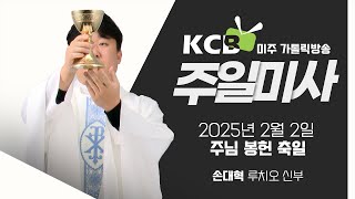 2025년 2월 2일 주님 봉헌 축일 미사 | 손대혁 루치오 신부 집전 | KCB 미주 가톨릭 방송