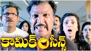 Telugu Comic Scenes - Back 2 Back Baadshah Comedy Scenes - Vol 7
