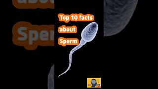 top ten 10 facts about human sperm