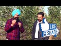 एक पौधे से 40 किलो उत्पादन सेब की खेती अब कही भी करें apple farming in india 📞9350352605