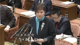 【令和6年2月29日】衆議院 予算委員会 公聴会 日本共産党・本村伸子