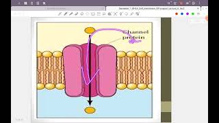 physiology, cell membrane and transport across it , part 1