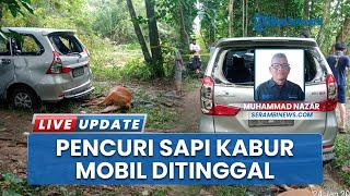 Maling Ternak Sapi di Pidie Terciduk Warga, Pelaku Tinggalkan Mobil dan 1 Lembu Sudah Disembelih