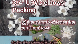 பெரிய வெங்காயம் நடவல்(trying new method )/UPVC Elbows Packing (3/4)/ இந்த வாரம் விளைந்த காய்கறிகள்