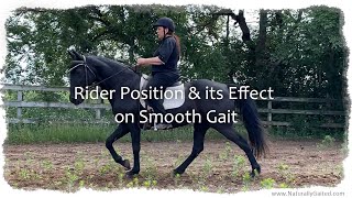 Rider Position and Effect on Smooth Gait #tennesseewalkinghorse
