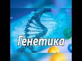 Генетика виды изменчивости. Наследственная и ненаследственная изменчивость. бесплатныеуроки