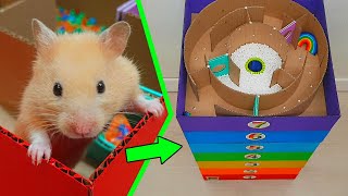 🐹 My funny Pet Hamster in 7 level Rainbow Pool Maze 🌈 Obstacle course 🌈