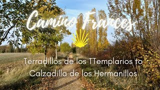 Camino Frances Stage 18 - Terradillos de los Templarios to Calzadilla de los Hermanillos