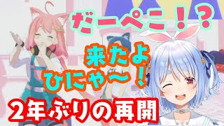 伝説の【 #うさみやぺこた 】コンビが2年ぶりに再開！でも裏では話してたらしい！【ホロライブ/猫宮ひなた/兎田ぺこら】【切り抜き】