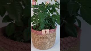 Indoor Plant Basket / Dyed+Natural Jute Rope. 100% Organic \u0026 ECO-friendly.