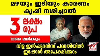 വിള ഇന്‍ഷുറന്‍സ് പദ്ധതിയില്‍ ഇപ്പോൾ അപേക്ഷിക്കാം.വാഴ -300000 നെല്ല് 80000, പച്ചക്കറി 40000