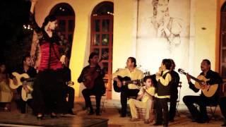 Chico & The Gypsies et Daniel Guichard - Le Gitan (extrait)