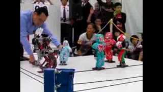 Robot Pro-Wrestling Dekinnoka16, Newtrino vs Ryuketsu 48