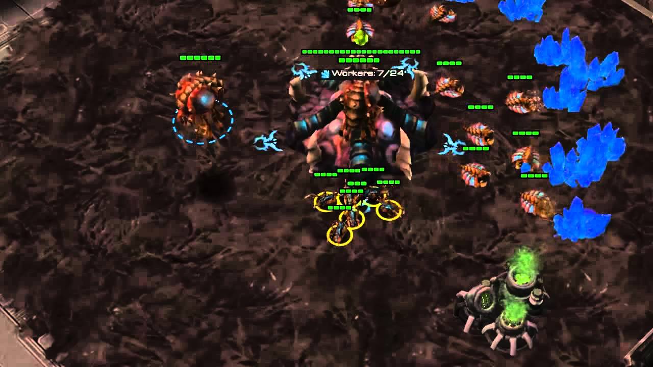 Yo Its Tippy Youtube