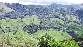 MUNNAR മൂന്നാർ ഇരവി കുളം നാഷണൽ പാർകിൻന്റെ മുകളിൽ നിന്നും