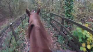 Horse/bike ride snippets Park Bridge 1/11/24