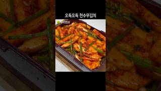 무보다 훨씬 아삭한 천수무는 딱 지금 추울때 맛있어요