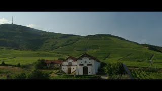 Tokaj-Hétszőlő Organic Vineyards Promotion Film