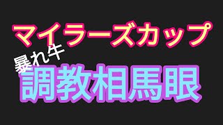 2023年【マイラーズカップ】暴れ牛の調教相馬眼