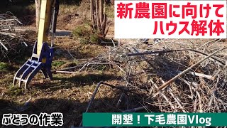 「ぶどうの作業」開墾下毛農園！Vlog。進むハウス解体。