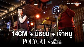 14cm+มัธยม+เจ้าหนู - POLYCAT | Live Concert บ้านเพื่อน ตราด