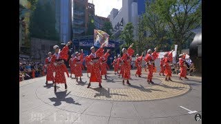 舞士道 19th 東京よさこい 前日祭