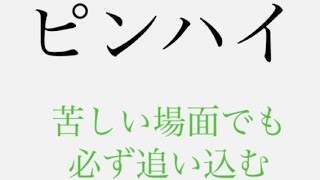 【ピンハイ】最後まで諦めない馬＠追い込み集