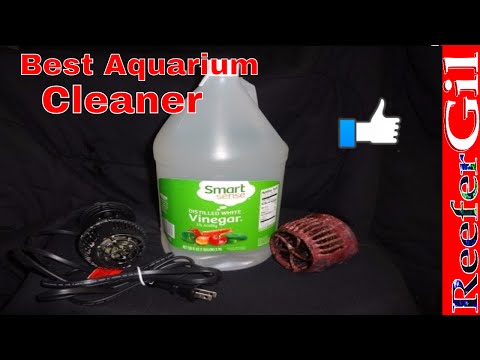 Vinegar Cleaning: Aquarium Equipment Vinegar Cleaning: Aquarium Equipment