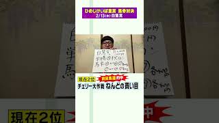 【2/13（木）白鷺賞】チェリー大作戦・ねんどの買い目！【次世代競馬芸人馬券対決！】#shorts