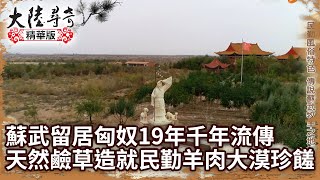 蘇武留居匈奴19年千年流傳 天然鹼草造就民勤羊肉大漠珍饈 【@ctvchinatv  EP1941】