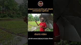 #SHORT #kokan #सिंधुदुर्ग #surdalvifarm #कणकवली #मालवण #viralvideo  #abhishekprabhakardalvi