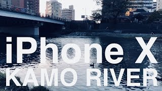 4K | iPhone X Video Test. Kamo River at Kyoto Japan. 標準カメラアプリ ビデオテスト 曇り空-夜景-タイムラプス撮影