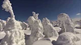 冬山 スノーシュー 冬の八幡平と樹氷 Snowshoe trekking at Mt.Hachimantai.Softrime.